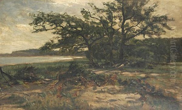Baumgruppe Mit Auf Dem Boden Liegendem Geast Bei Einem See - view 1