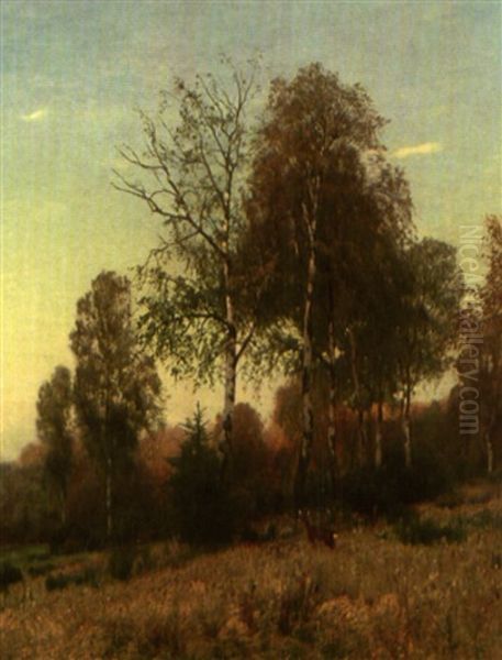 Rehe Am Waldrand - view 1