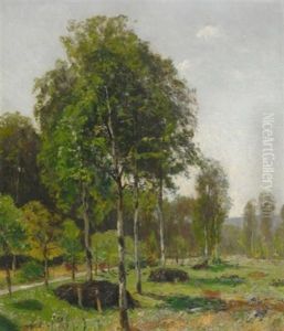 Idyllischer Sommertag. Blick Uber Saftige Wiese Auf Einen Birkenhain by Carl Irmer