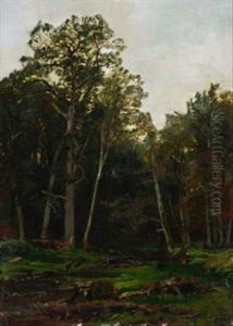 Lichtung Im Sommerlichen Walde by Carl Irmer