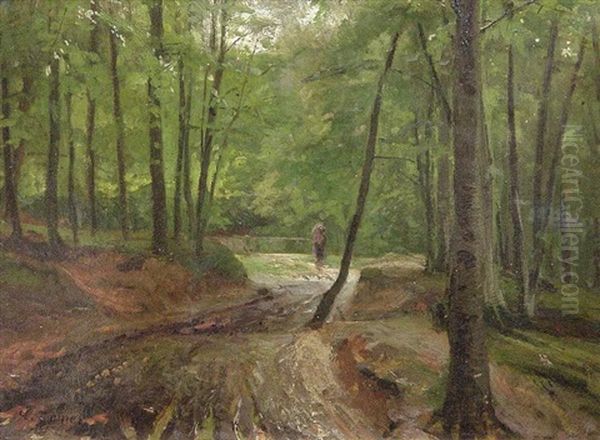 Reisigsammlerin Auf Einem Waldweg - view 1