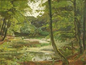 Waldsee Waldsee