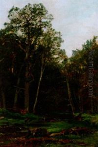 Waldstudie