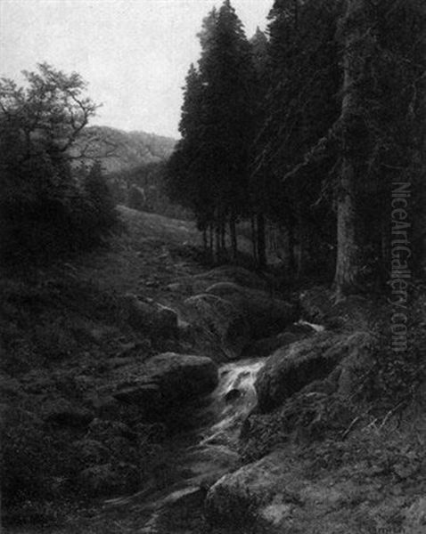 Bachlauf In Einem Waldtal - view 1