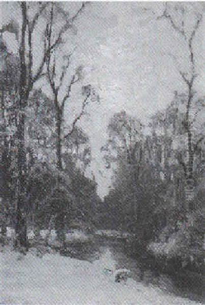 Winterwald Im Abendlicht - view 1