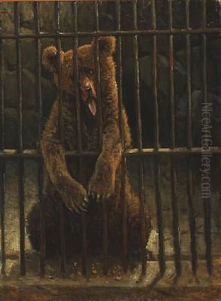 A Bear Behind Bars - view 1