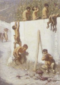 Faune Pa Druerov Faune Pa Druerov