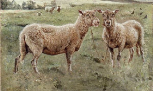 Pastoral Landscape With Sheep - view 1