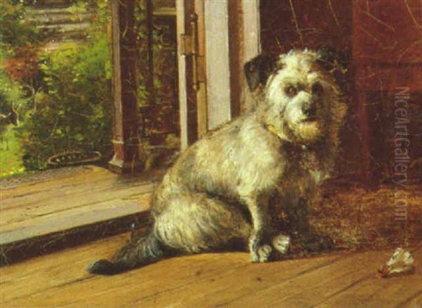 Hund I En Dorabning, I Baggrunden Haveparti Med Aesel - view 1