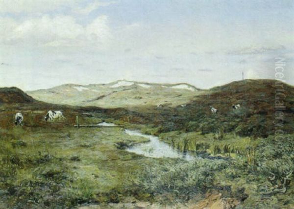 Landskab Fra Vendsyssel - view 1