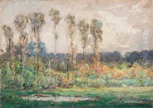 Landscape W/poplars