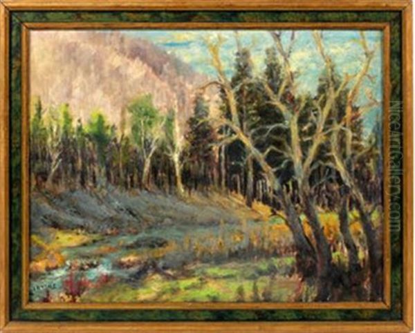 Forest Landscape - view 1
