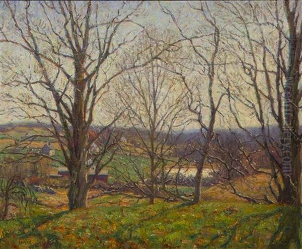 Tress In The Green Grass - view 1