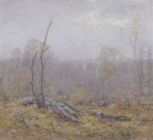 Wooded Grove