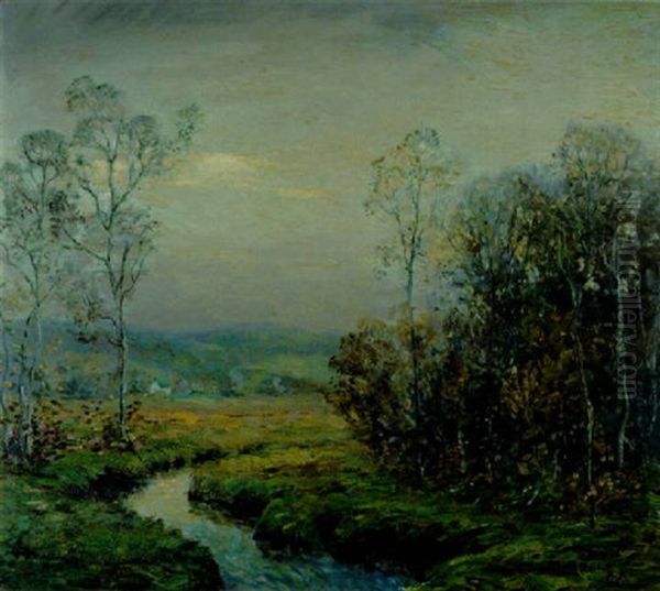 A Meandering Stream - view 1
