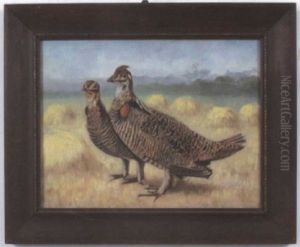 Prairie Hen