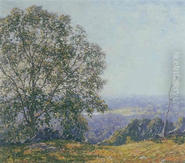 Trees On A Hillside Overlooking A Valley - view 1