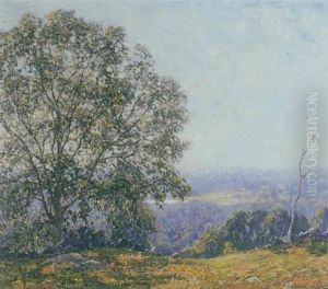 Trees On A Hillside Overlooking A Valley Trees On A Hillside Overlooking A Valley