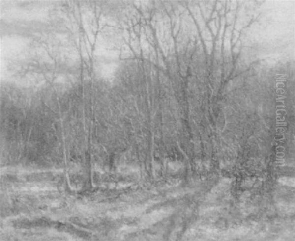 Figures In The Woods - view 1