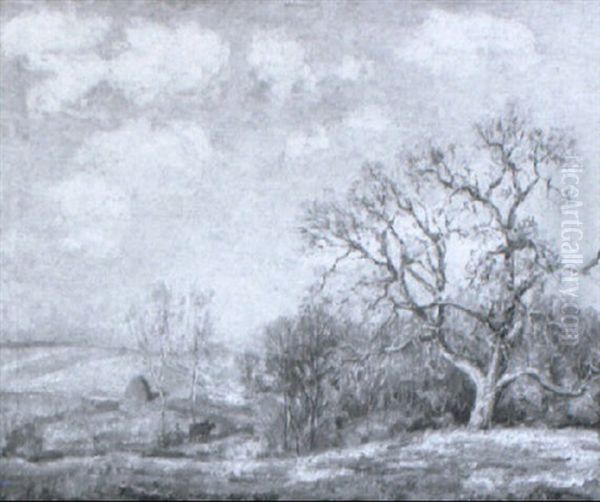 Autumn Fields - view 1