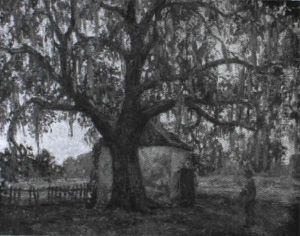 Live Oak With Spanish Moss by Wilson Henry Irvine