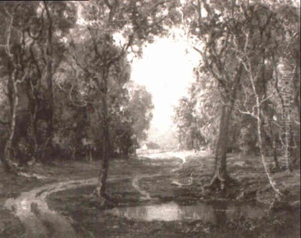 Sylvan Vista - view 1