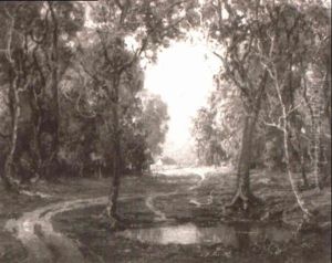 Sylvan Vista