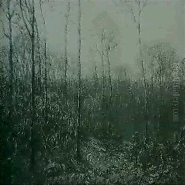 Autumn Trees - view 1