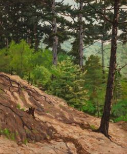 Hillside Pines Hillside Pines