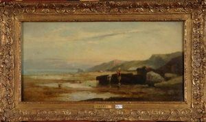 Femmes Ramassant Des Crustaces En Bord De Mer