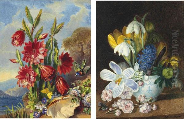 A Bird, Butterfly And A Shell Beside A Flowering Cactus And Passionflowers - view 1