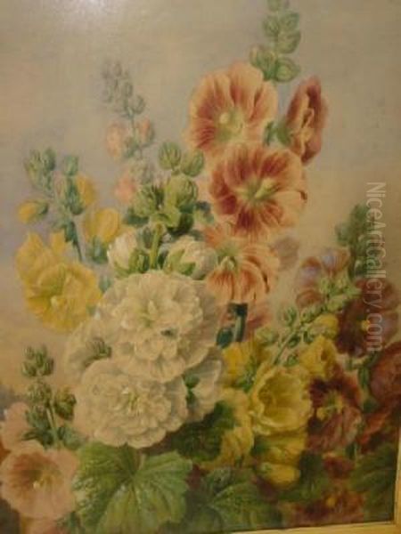 Hollyhocks - view 1