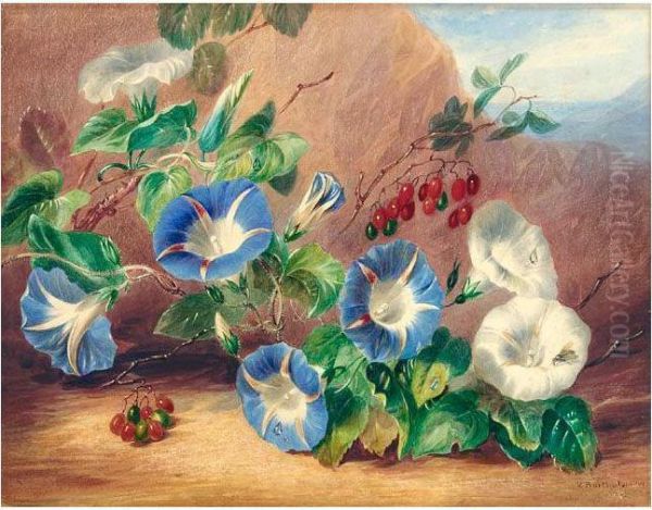 Still Life With Morning Glory (convolvulus) And Berries - view 1
