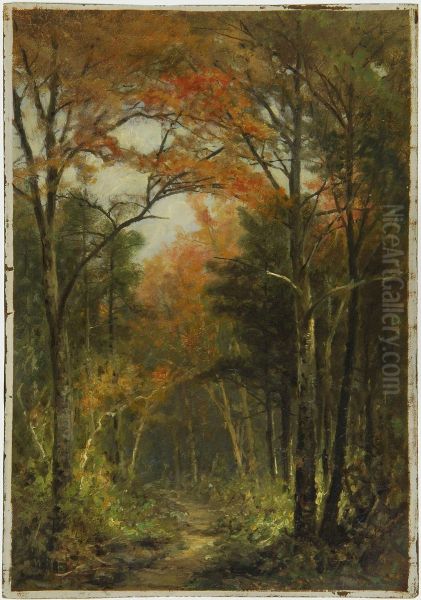 Forest Road - view 1