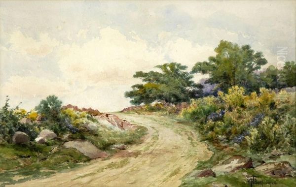 Country Road In Summer - view 1