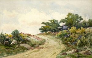 Country Road In Summer by William Newton Bartholomew