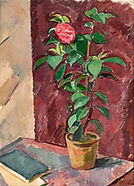 Nature Morte Med Kamelia - view 1