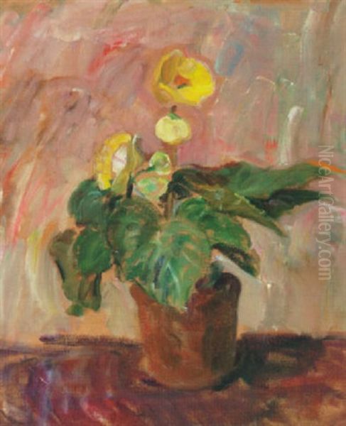 Nature Morte Med Gul Begonia - view 1
