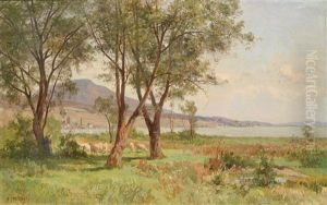 Weidende Schafherde