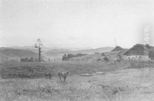 Vaches Sur Le Plateau Vaches Sur Le Plateau