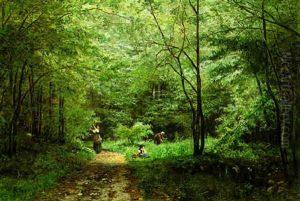 The Berry Pickers by Marie-Victor-Emile Isenbart