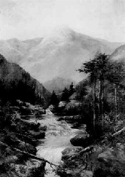 Mountain Stream - view 1