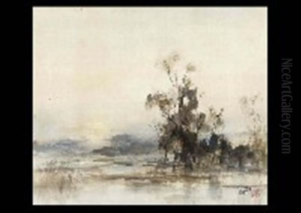 Landscape - view 1