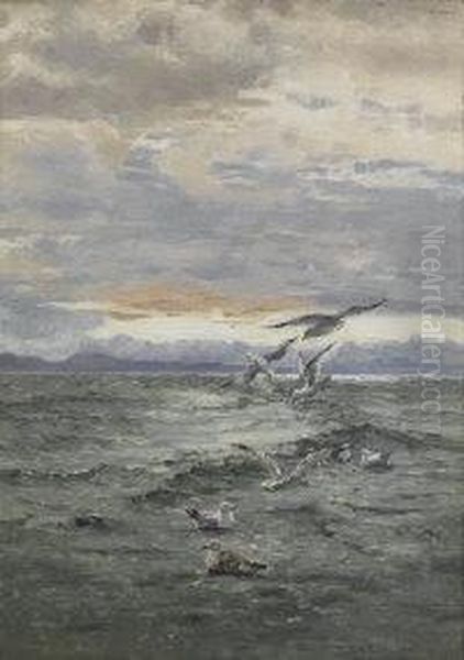 Signs Of Herring - view 1