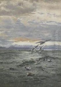 Signs Of Herring