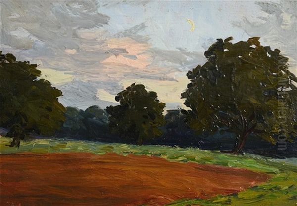 The Ploughed Field, Belvoir Park - view 1