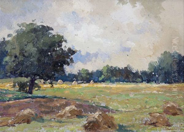 The Hayfield, Belvoir Park - view 1