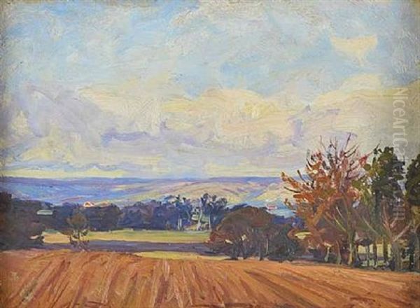 Ploughed Field Near Belvoir Park - view 1