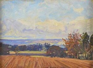 Ploughed Field Near Belvoir Park