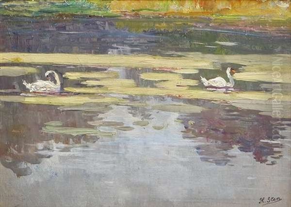 Swans - view 1
